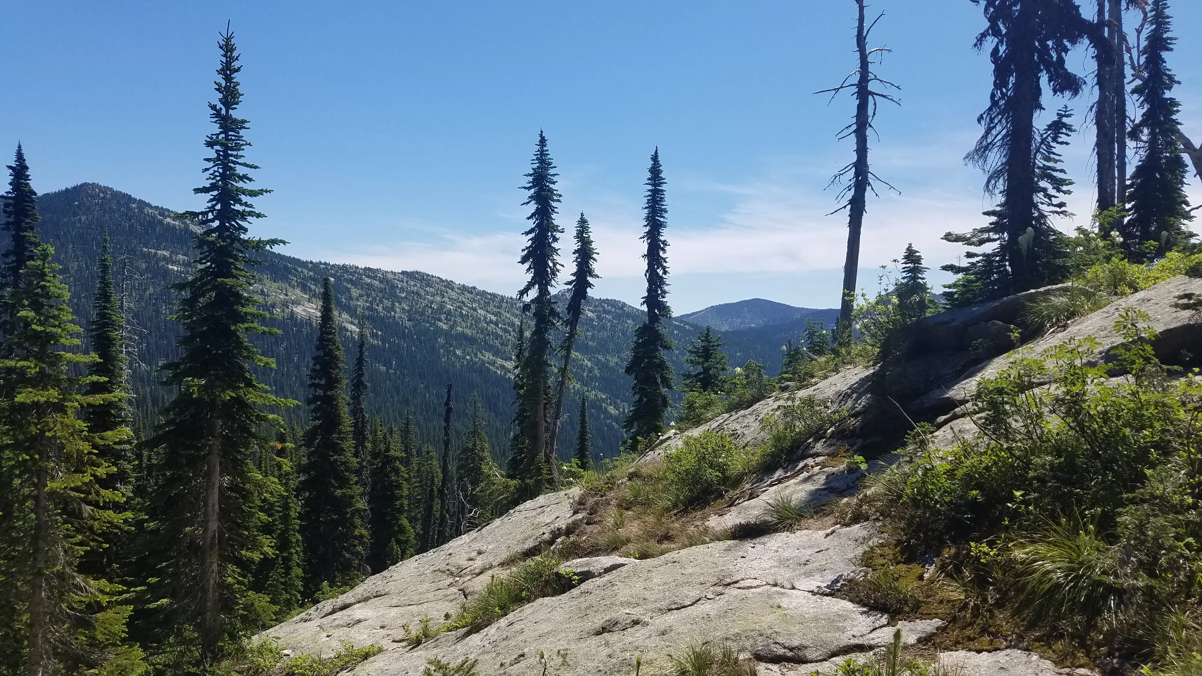 Timbered country in the Idaho Panhandle National Forests.
