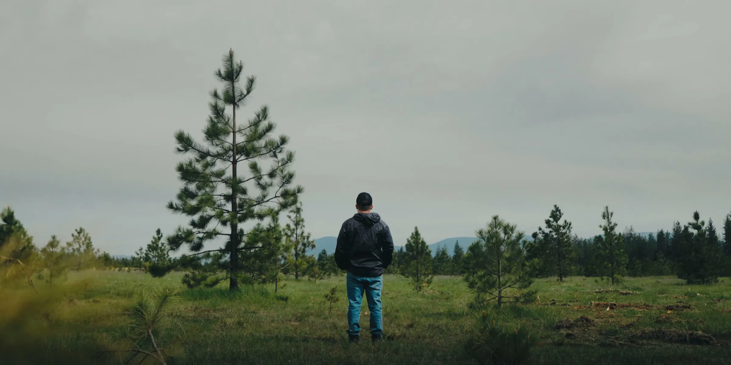 A man standing alone in an open meadow, a single pine beside him and low mountains on the horizon